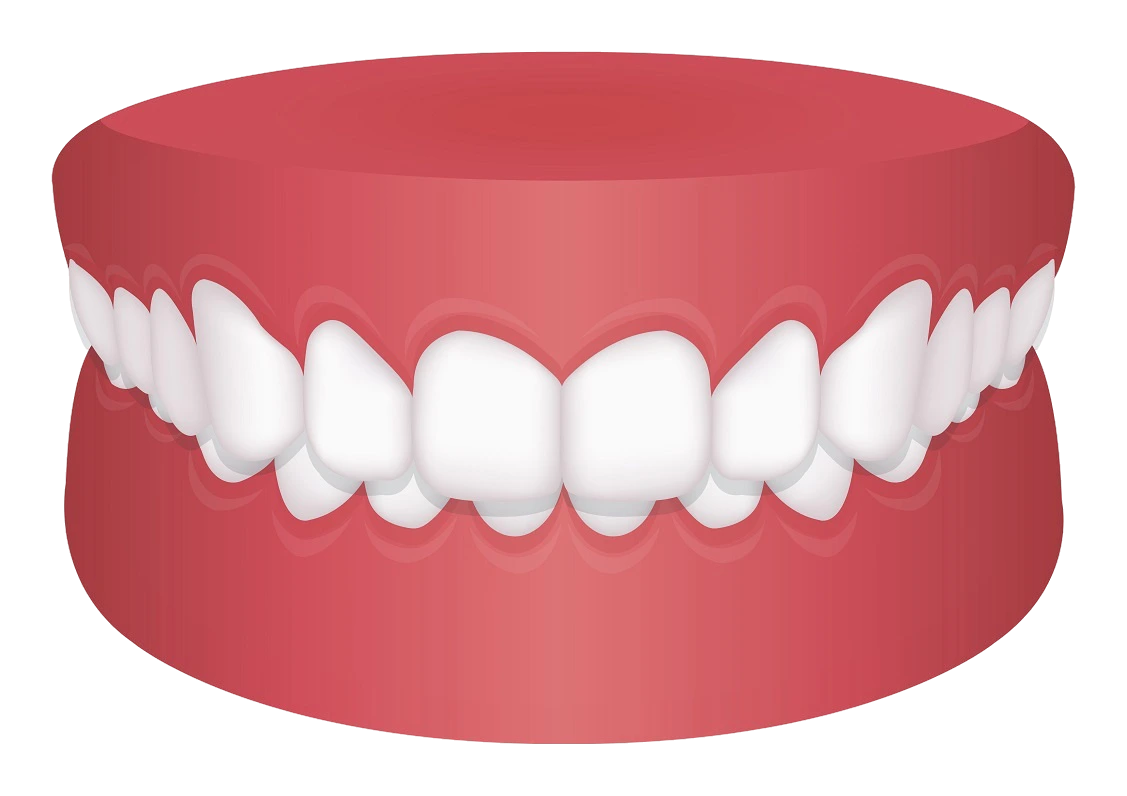 Deep Bite